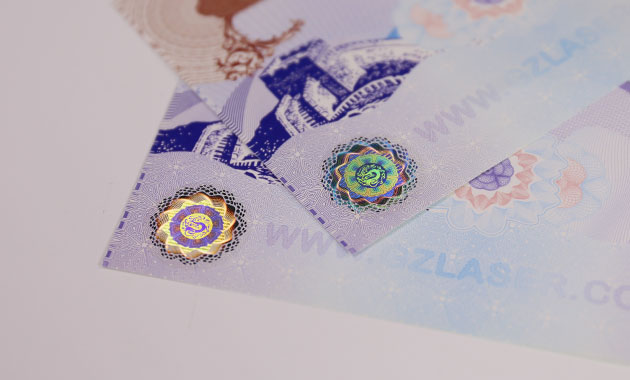 registered holographic hot stamping foil for visa protection