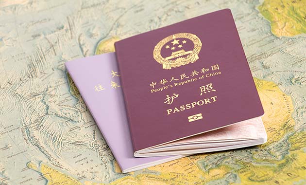 book type passports, identity documents