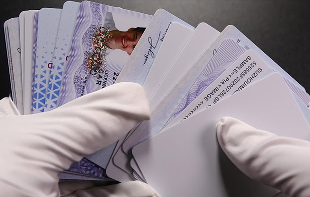employee ID cards with personalized information and security lamination