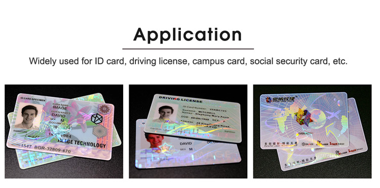 hummingbird hologram patch film application